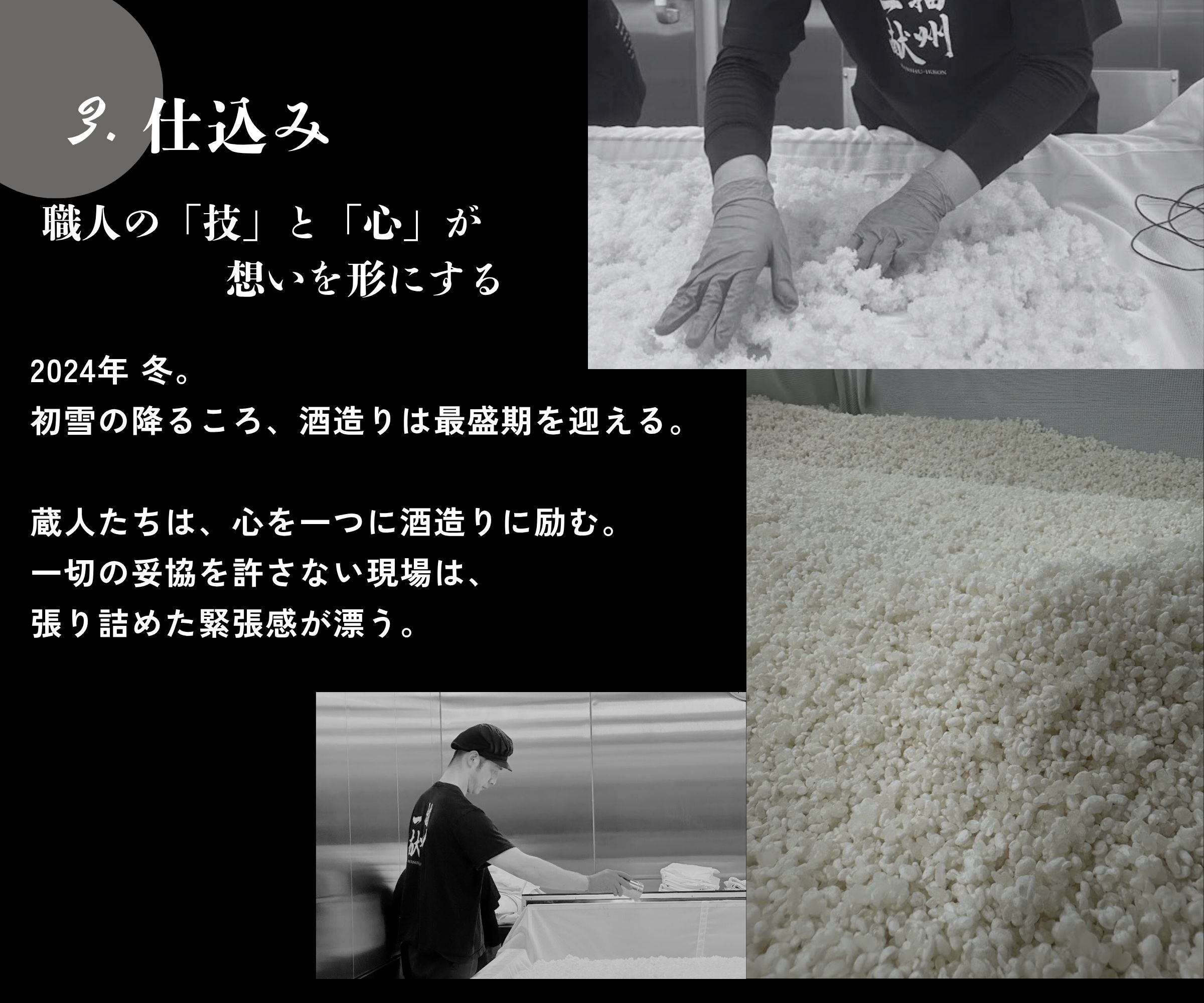十蒼 (TOA) 純米大吟醸 （INUI SAKE-TEN ONLINE)
