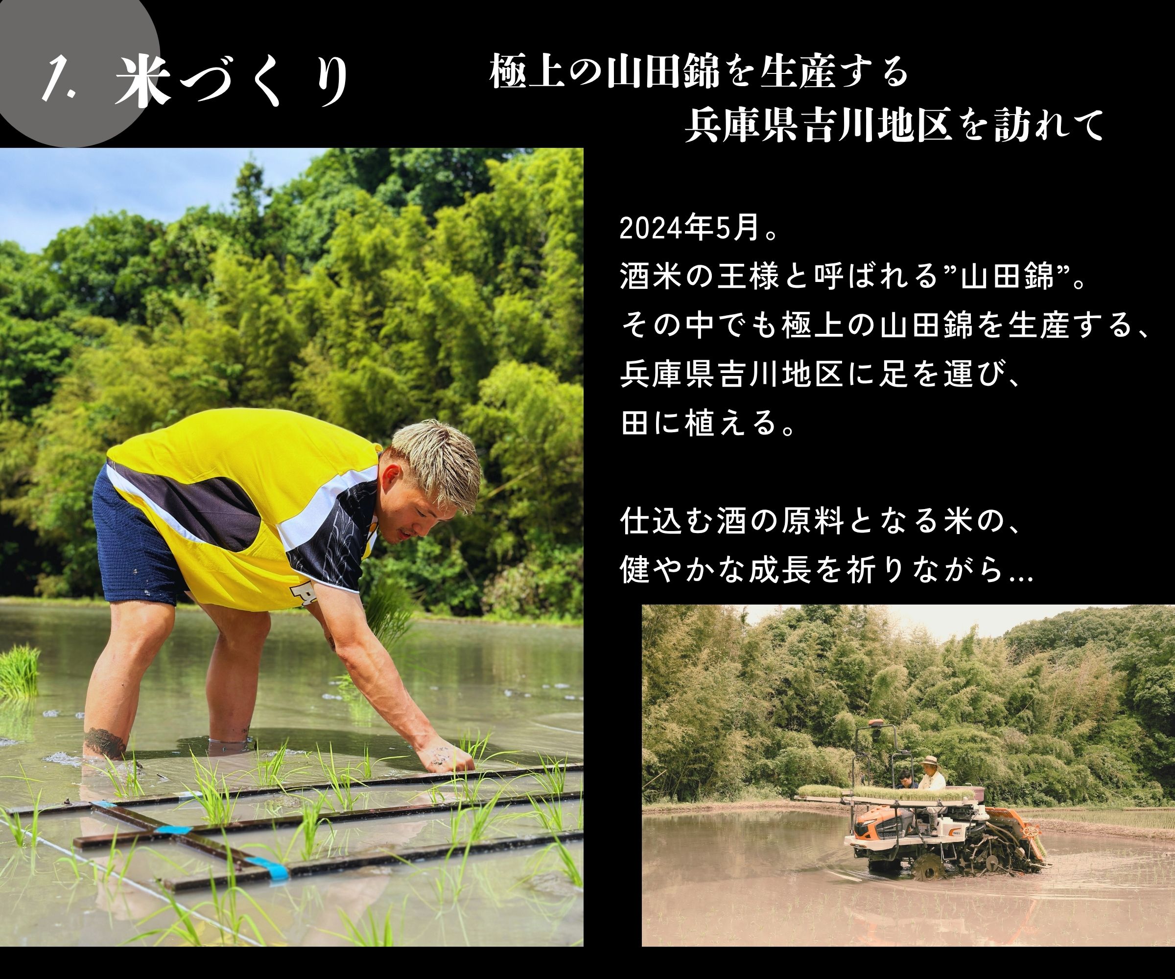 十蒼 (TOA) 純米大吟醸 （INUI SAKE-TEN ONLINE)